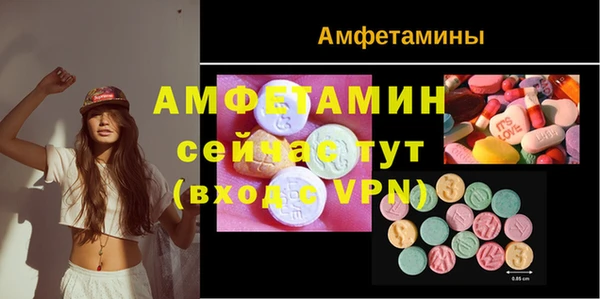 прущие грибы Осинники