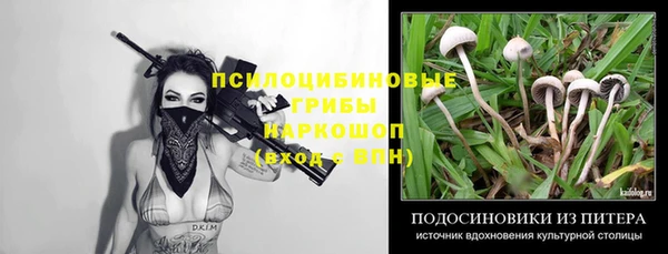 PSILOCYBIN Абдулино