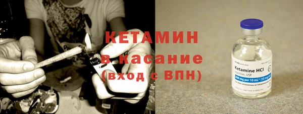 индика Алзамай