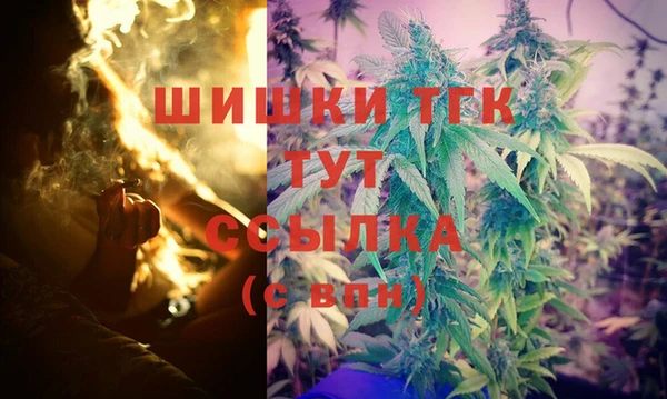 гашик Абаза