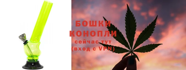 PSILOCYBIN Абдулино