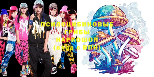 PSILOCYBIN Абдулино