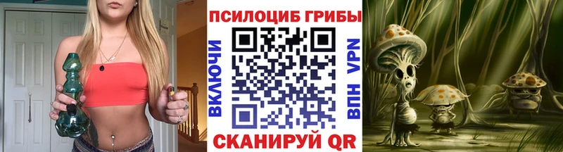 Галлюциногенные грибы Psilocybe Сурск